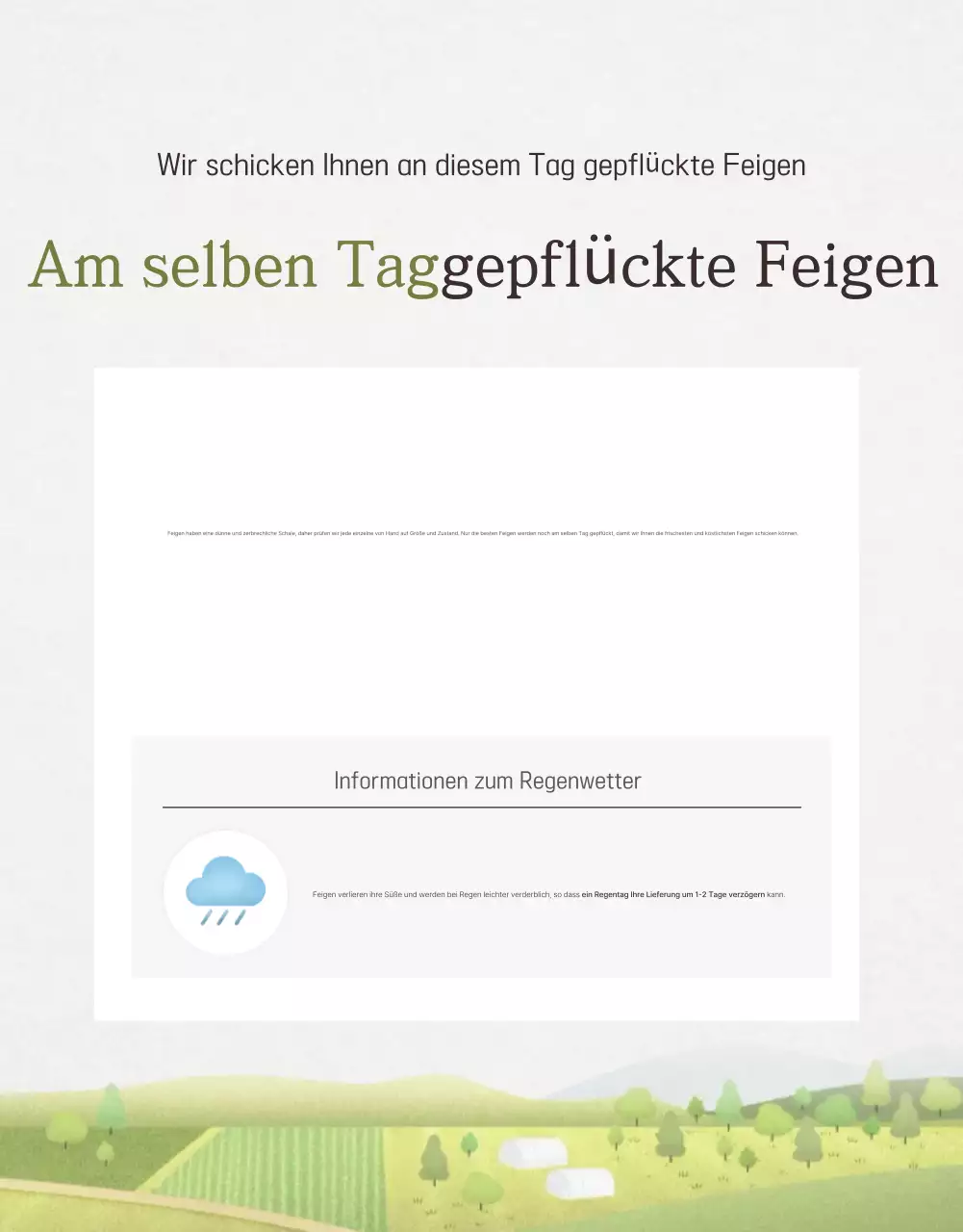 Verkaufsförderung von stilvollen Feigen in Weiß und Grau