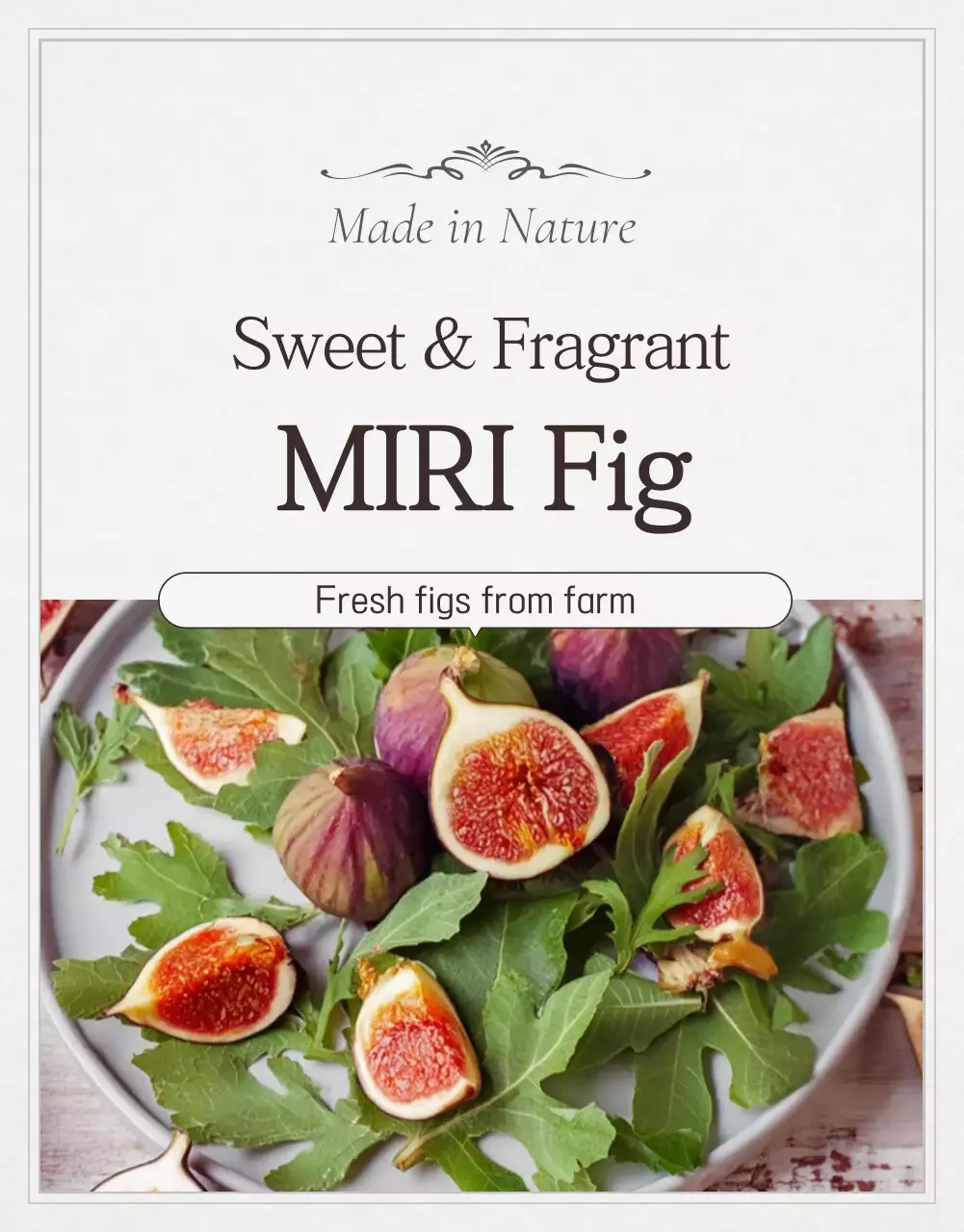 Poster quảng cáo quả sung xanh Rustic