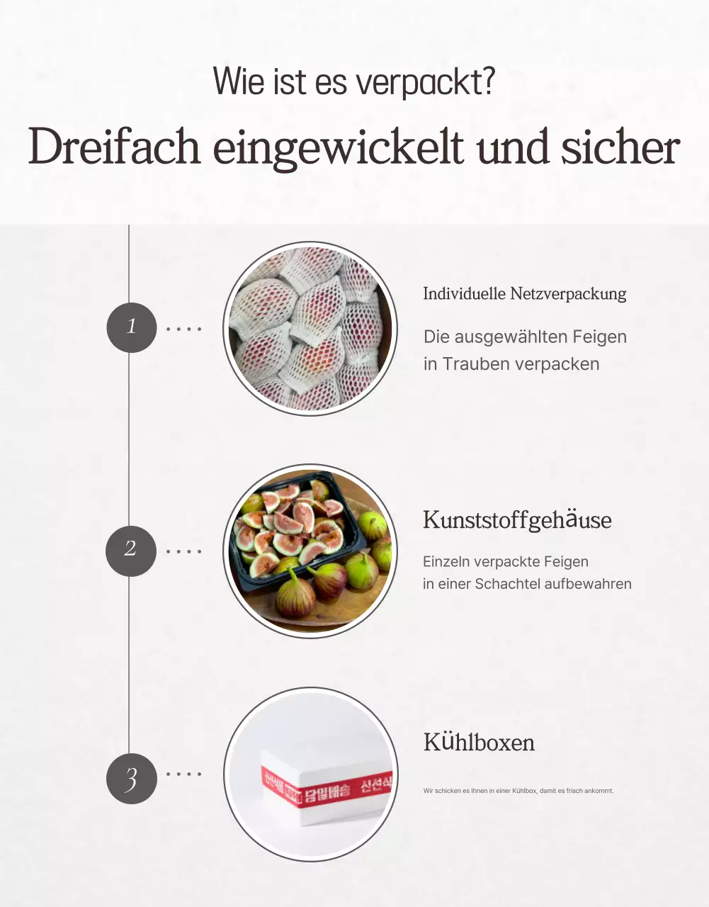 Weiße einfache Fruchtfeigen
