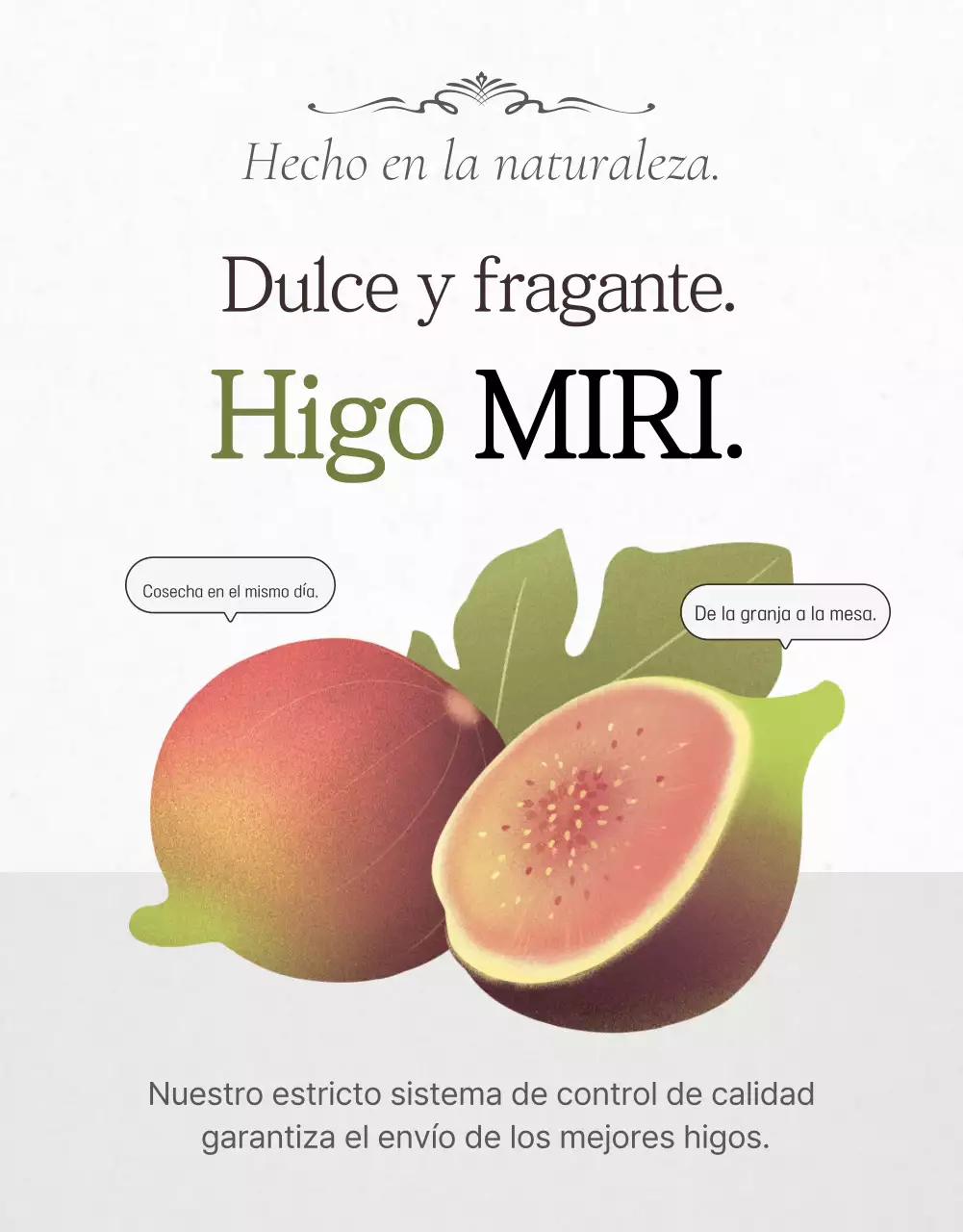 Promoción de ventas de higos con estilo en blanco y gris