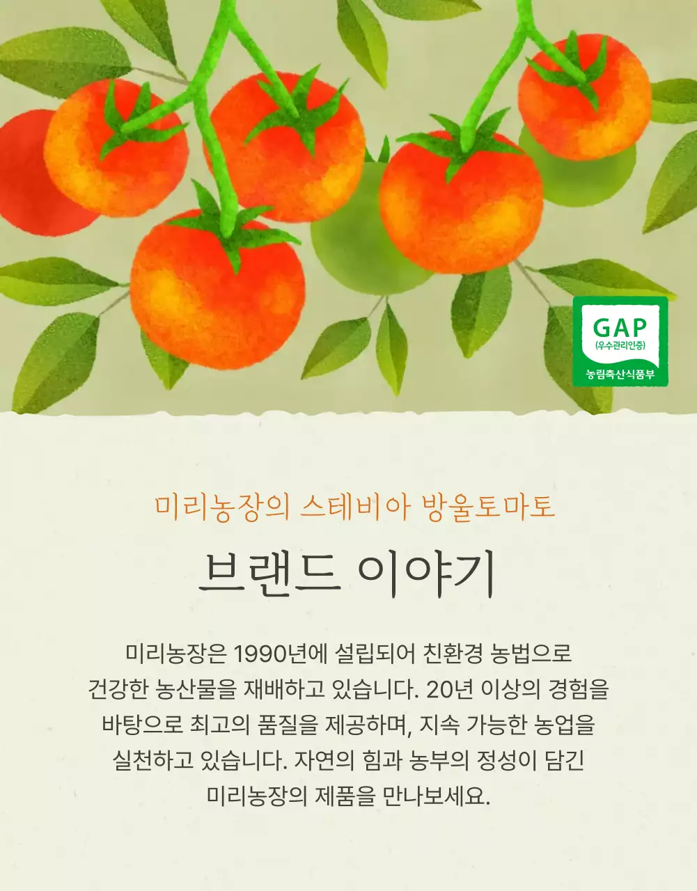 아이보리와 연두의 심플한 방울토마토 판매 홍보