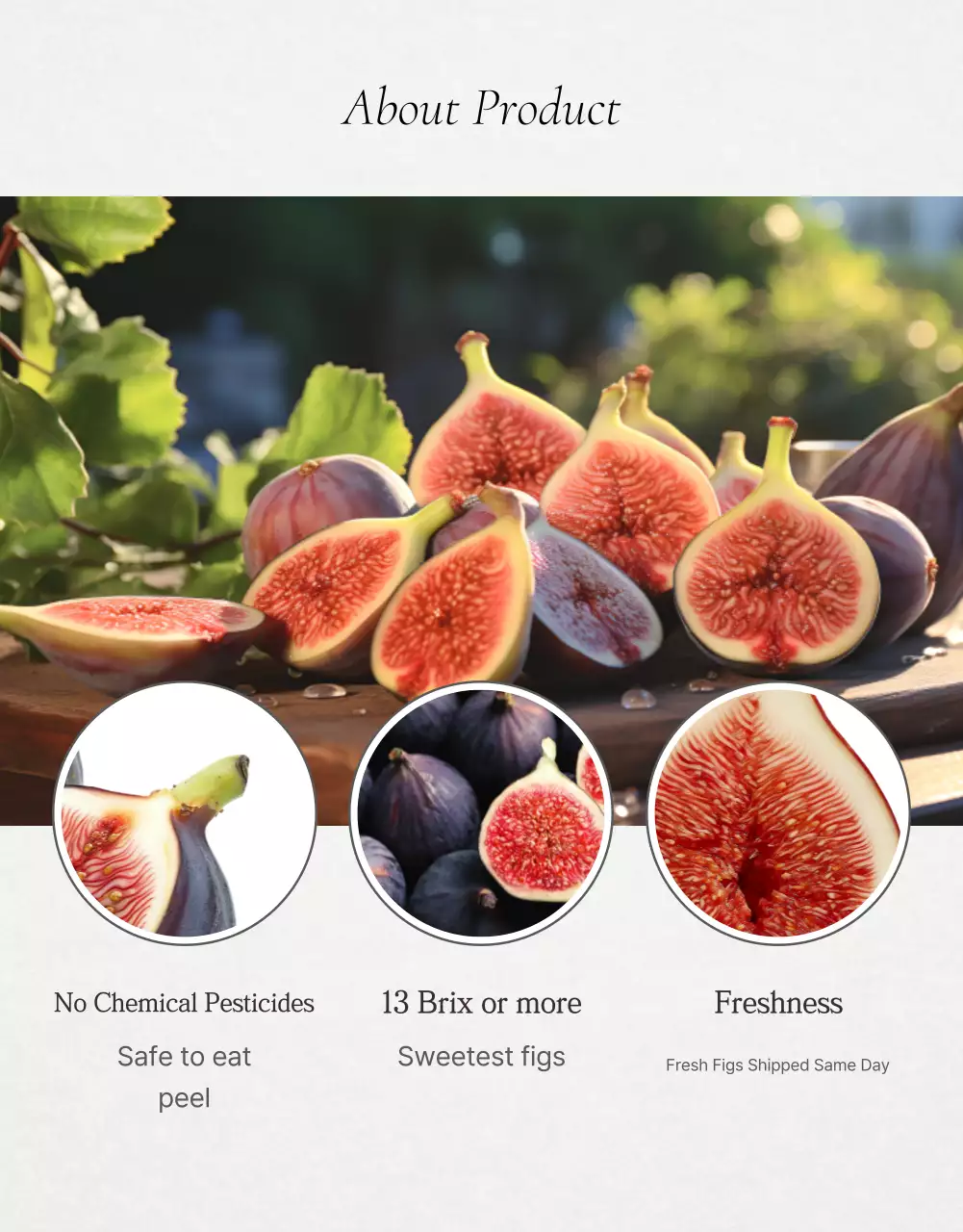 Green Rustic Figs Promotion Poster