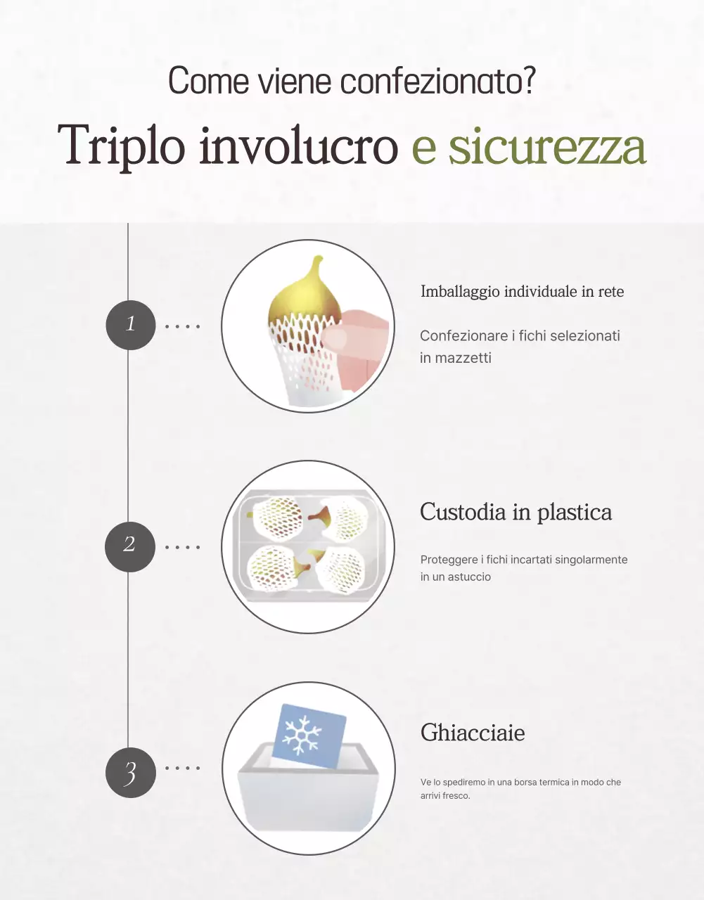 Promozione delle vendite di fichi eleganti in bianco e grigio