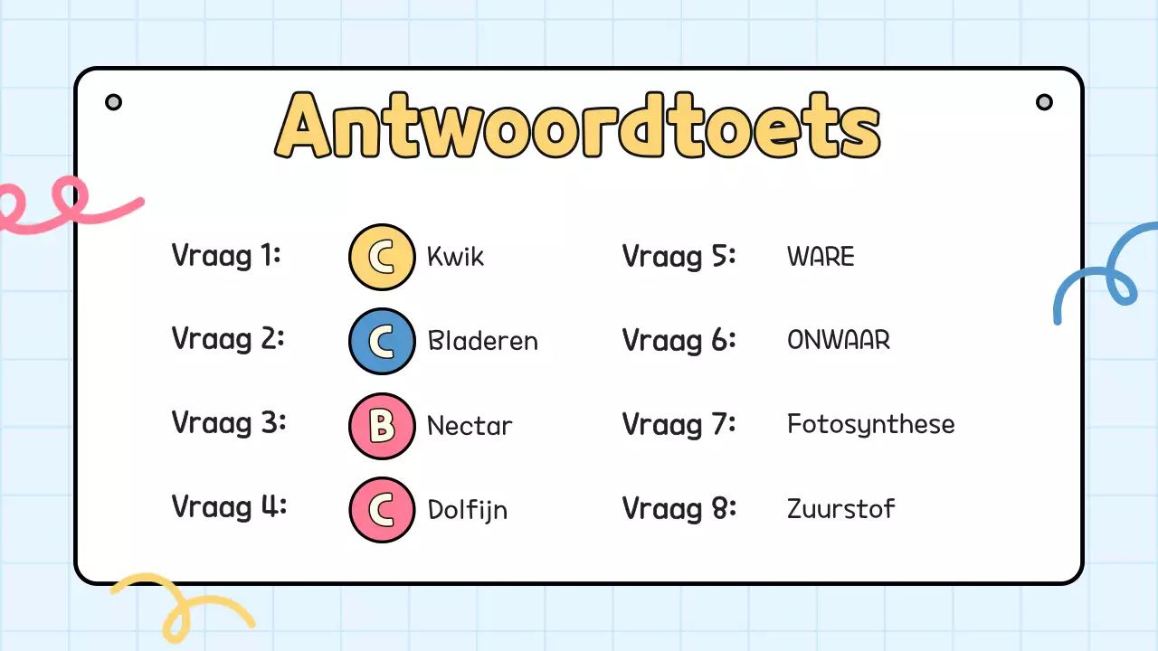 Gele quiz voor studentenpresentatie op school