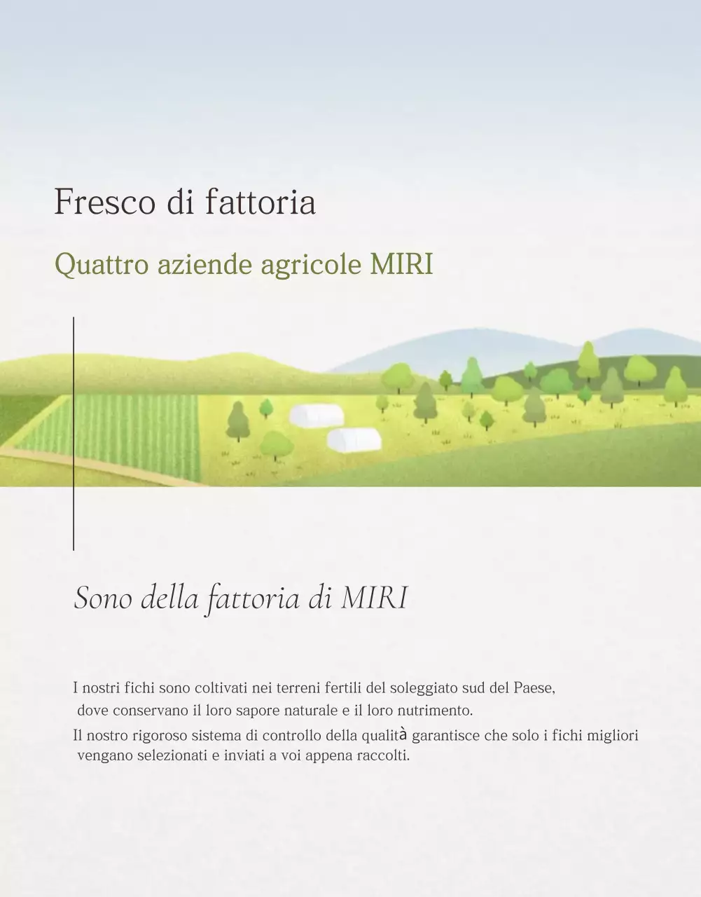 Promozione delle vendite di fichi eleganti in bianco e grigio