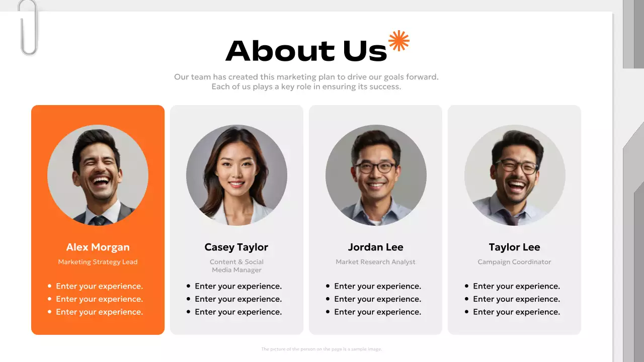 Orange Professional Marketing Plan Presentation