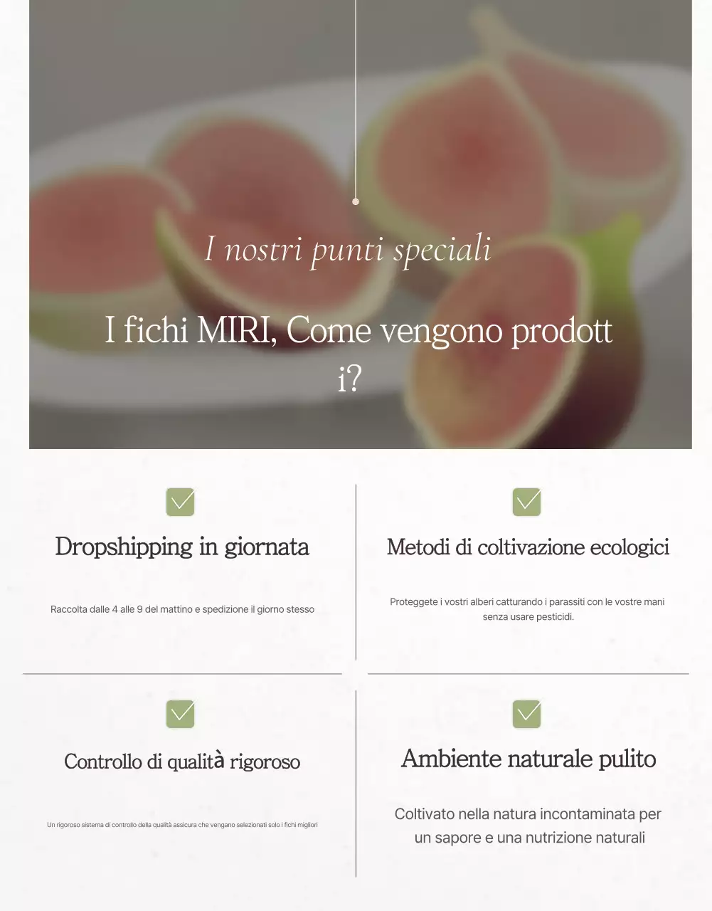 Promozione delle vendite di fichi eleganti in bianco e grigio