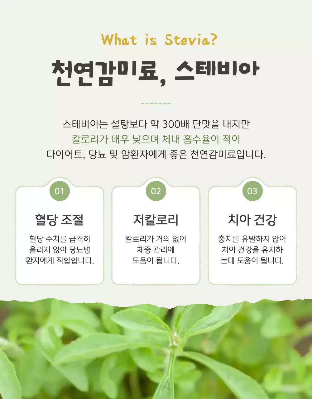아이보리와 연두의 아기자기한 방울토마토 판매 홍보