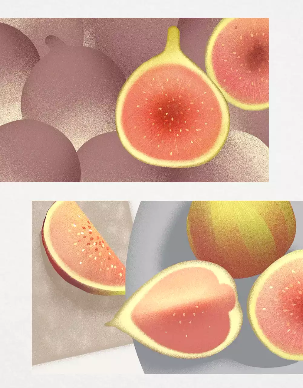 Promotion des ventes de figues de style en blanc et gris