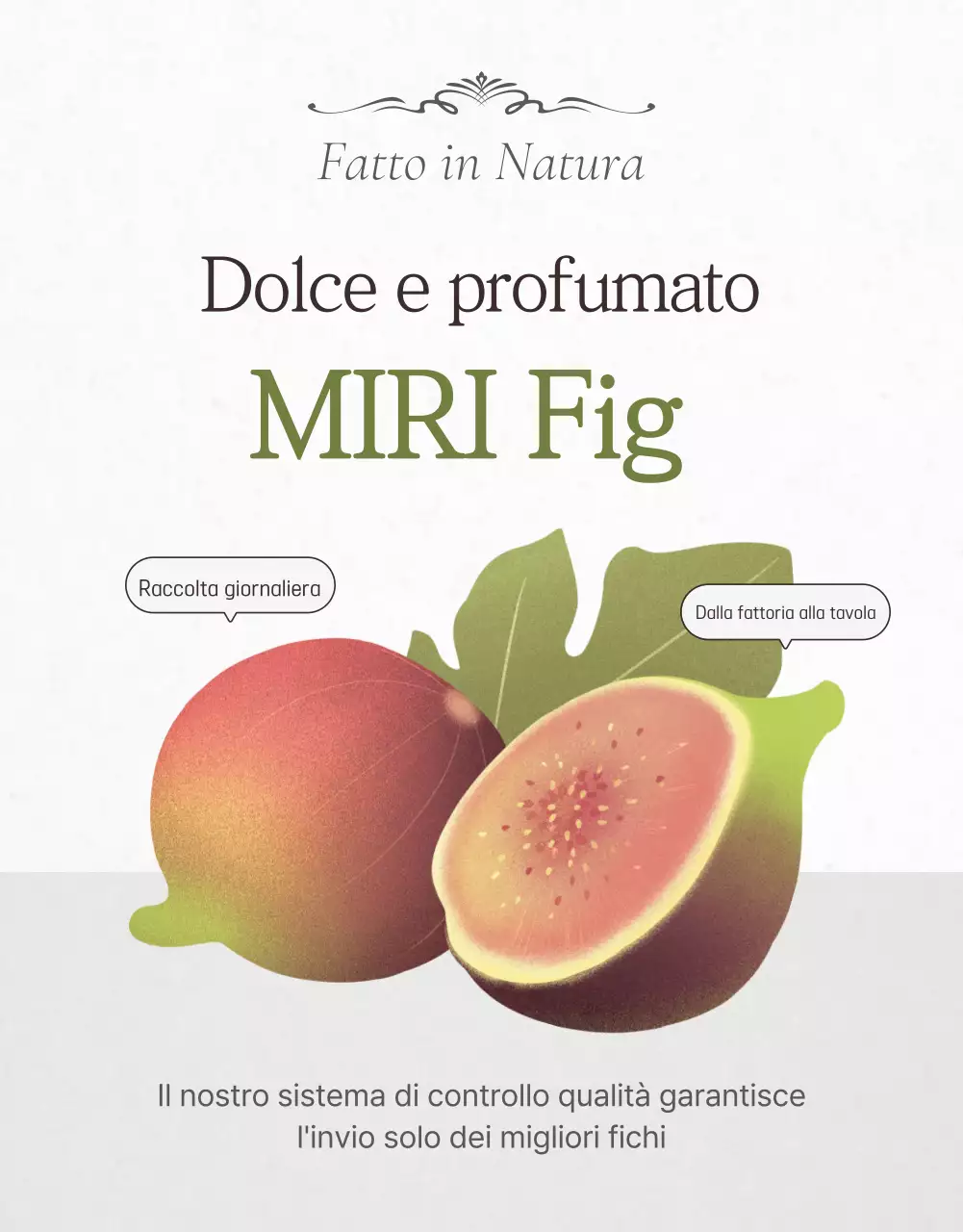 Promozione delle vendite di fichi eleganti in bianco e grigio