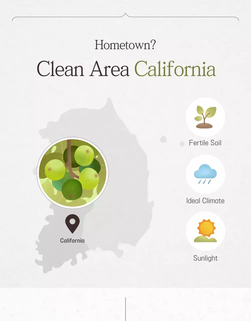 Poster Promosi Buah Minimal Beige