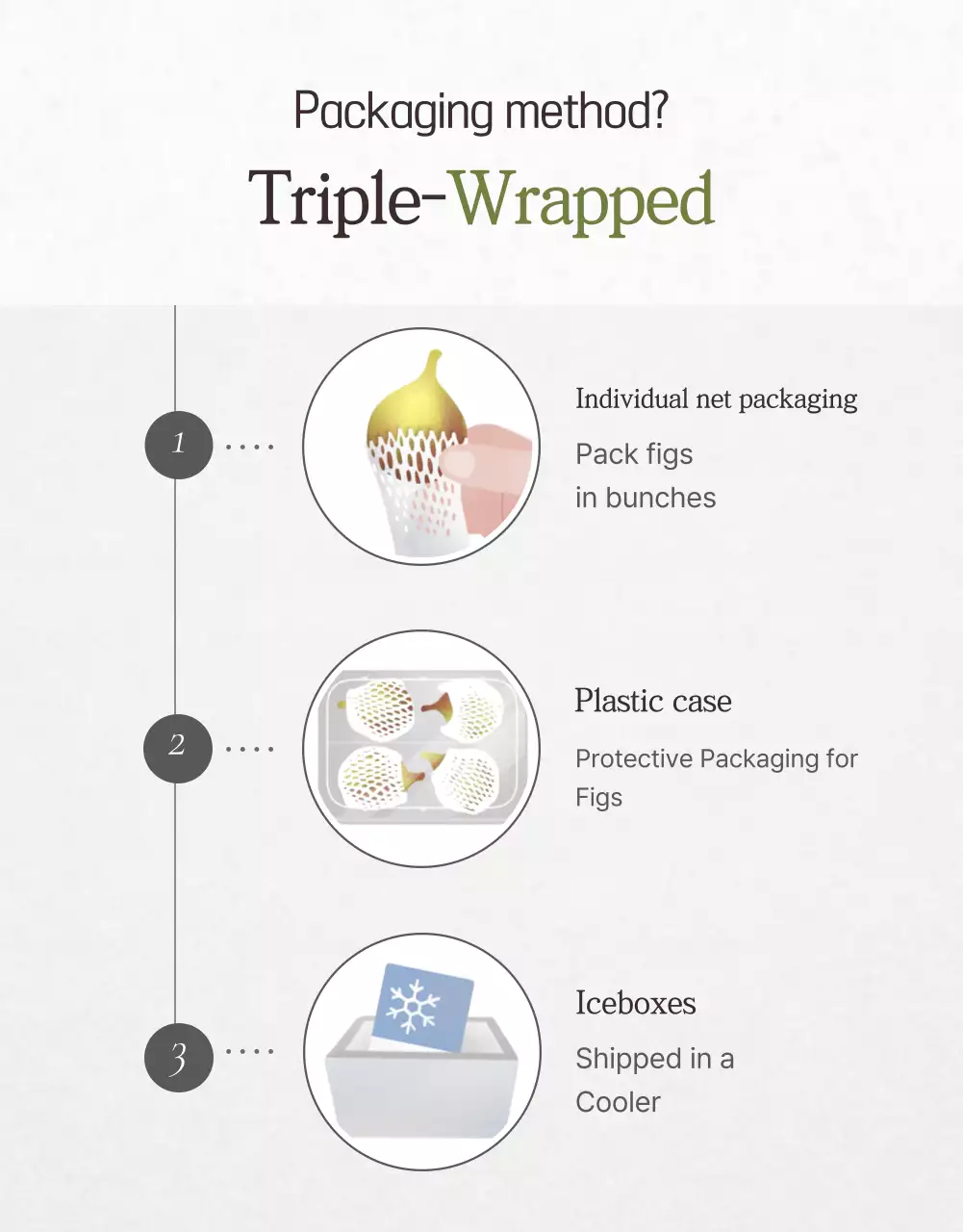 Poster Promosi Buah Minimal Beige