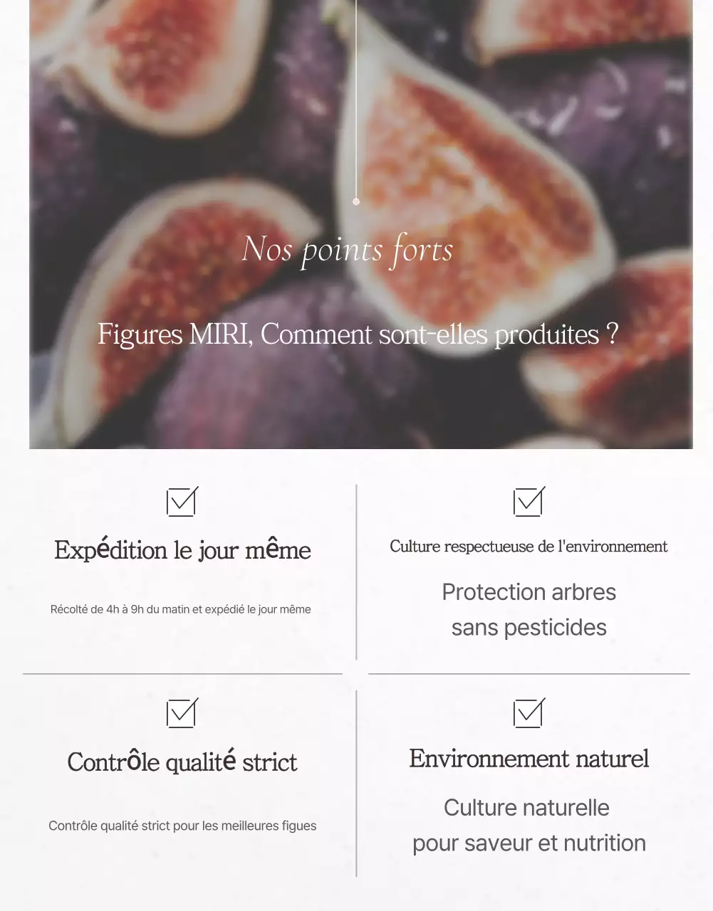 Fruits simples blancs Figues