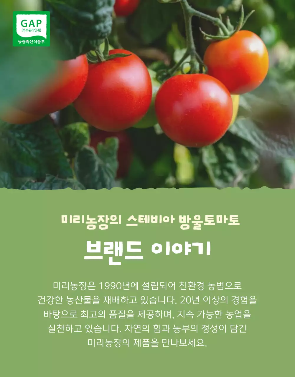 아이보리와 연두의 아기자기한 방울토마토 판매 홍보