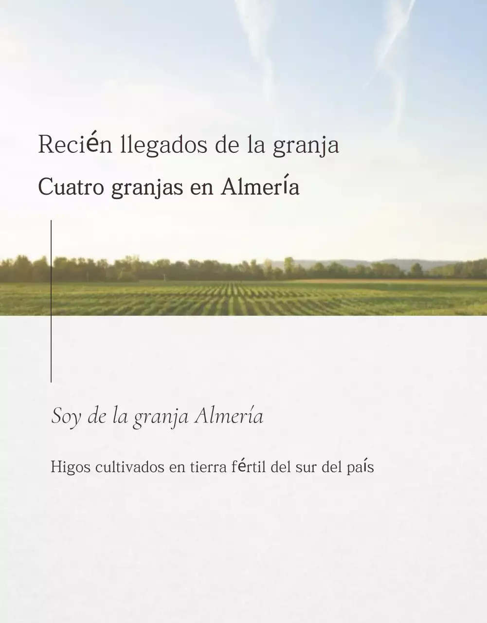 Higos blancos de frutas simples