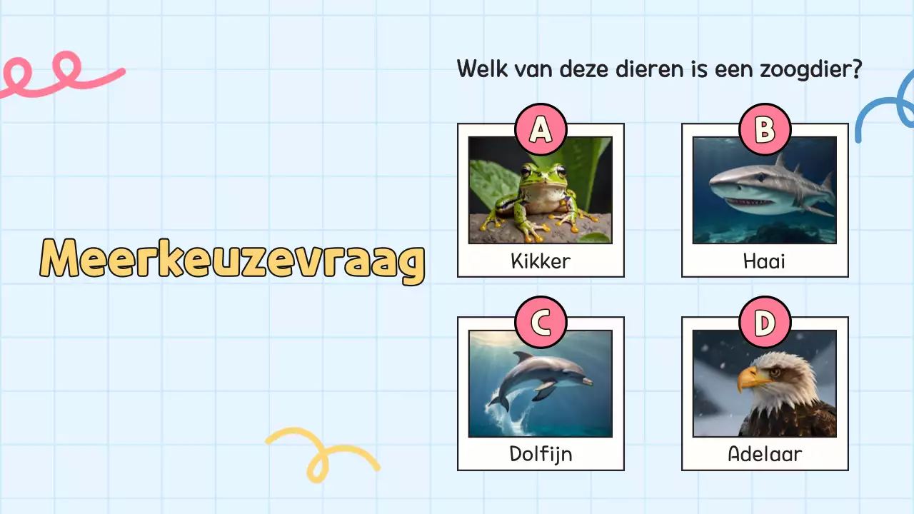 Gele quiz voor studentenpresentatie op school