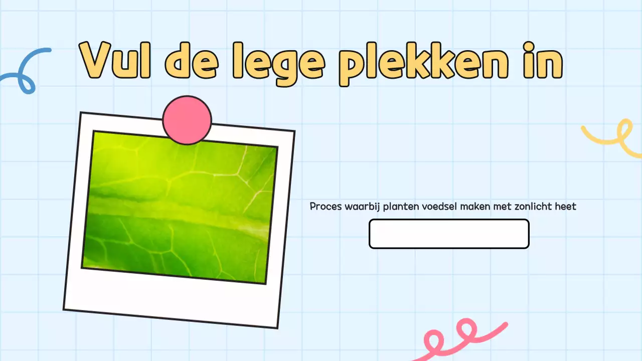 Gele quiz voor studentenpresentatie op school