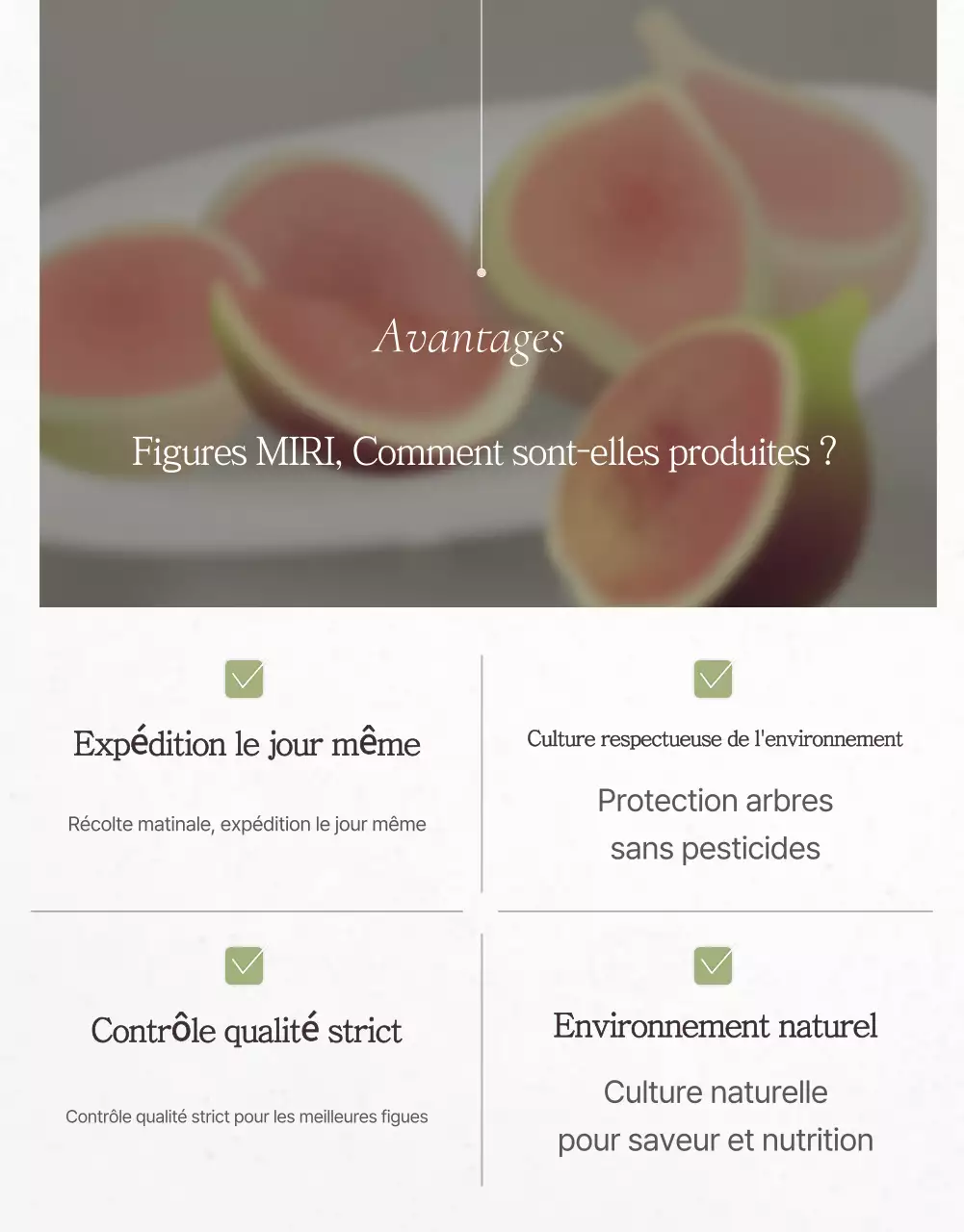 Promotion des ventes de figues de style en blanc et gris