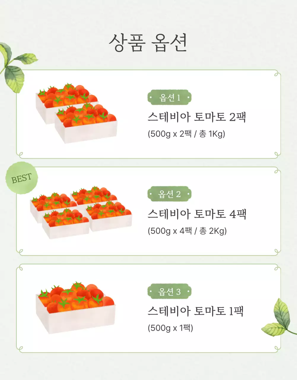 아이보리와 연두의 심플한 방울토마토 판매 홍보