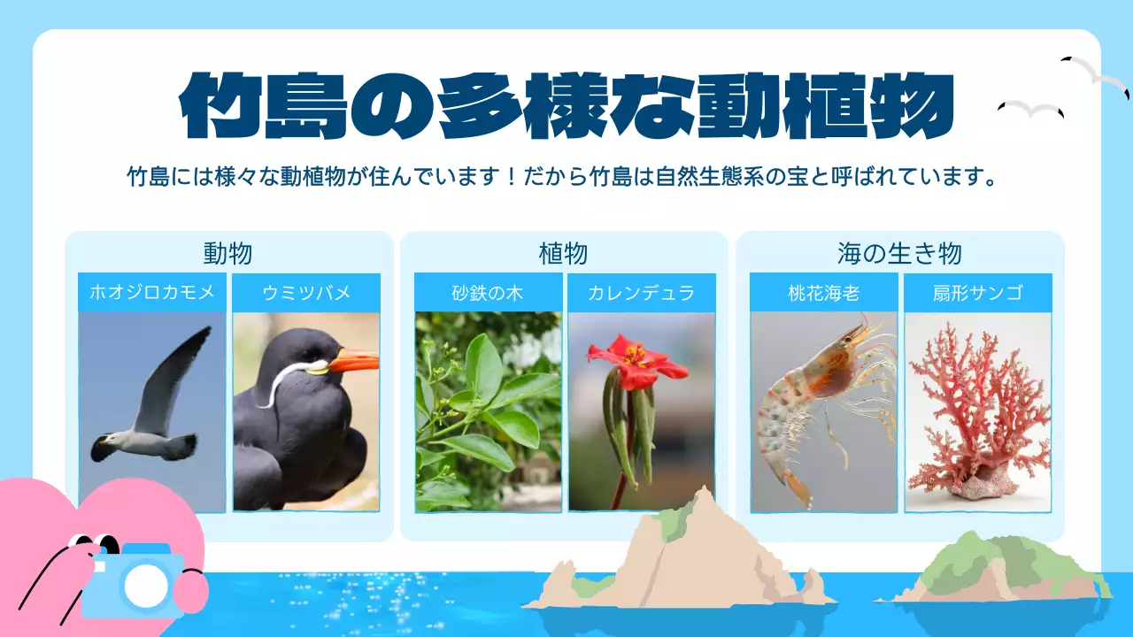 青 ポップ 島 お知らせ プレゼンテーション