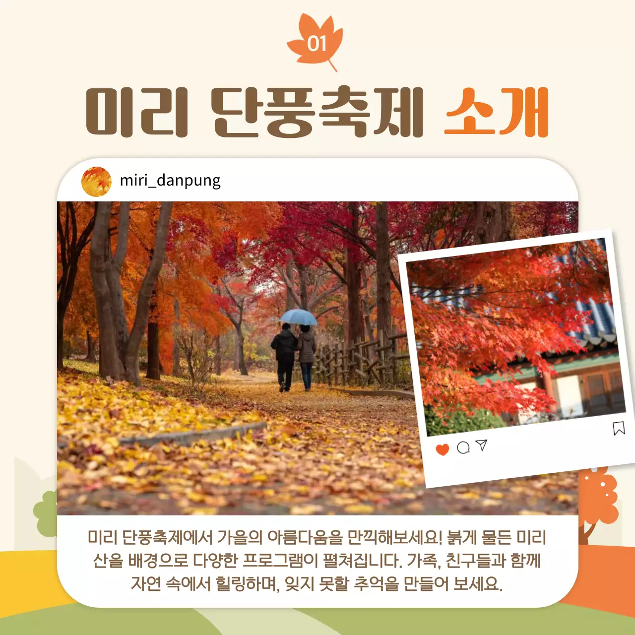 주황 아기자기한 단풍 축제 안내