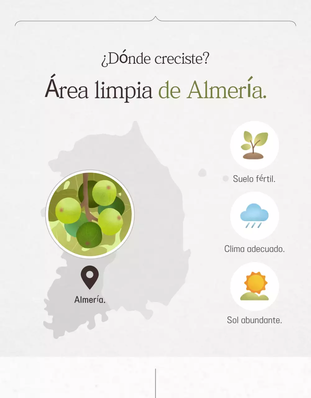 Promoción de ventas de higos con estilo en blanco y gris