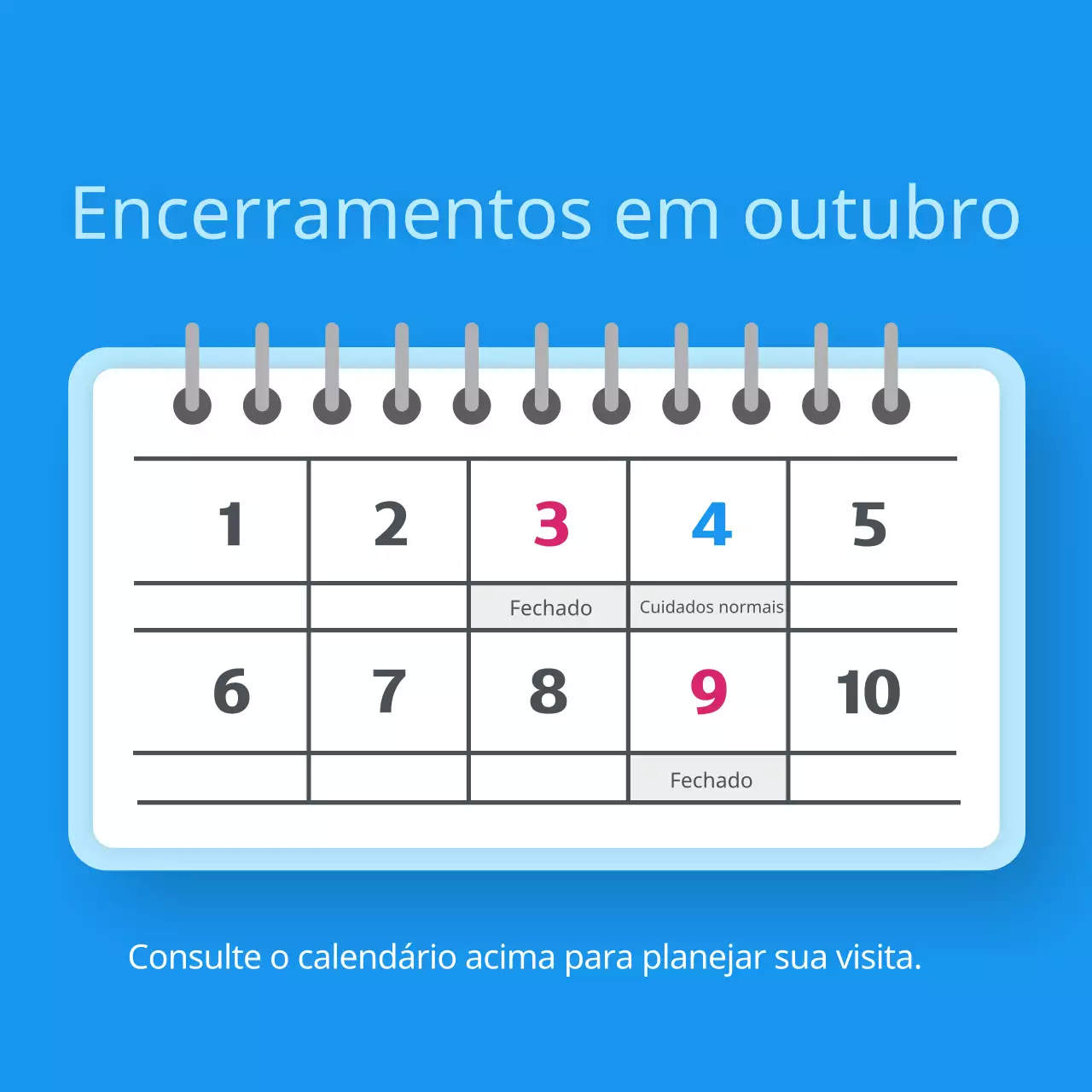 O Blue Simple estará encerrado em outubro