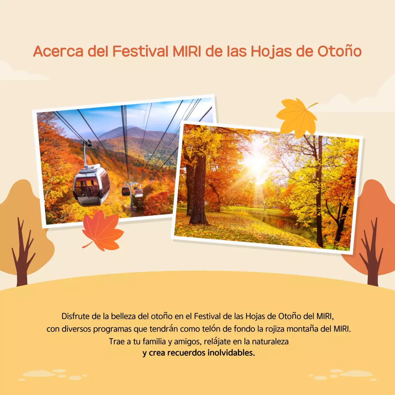 Guía del Festival Beige Simple