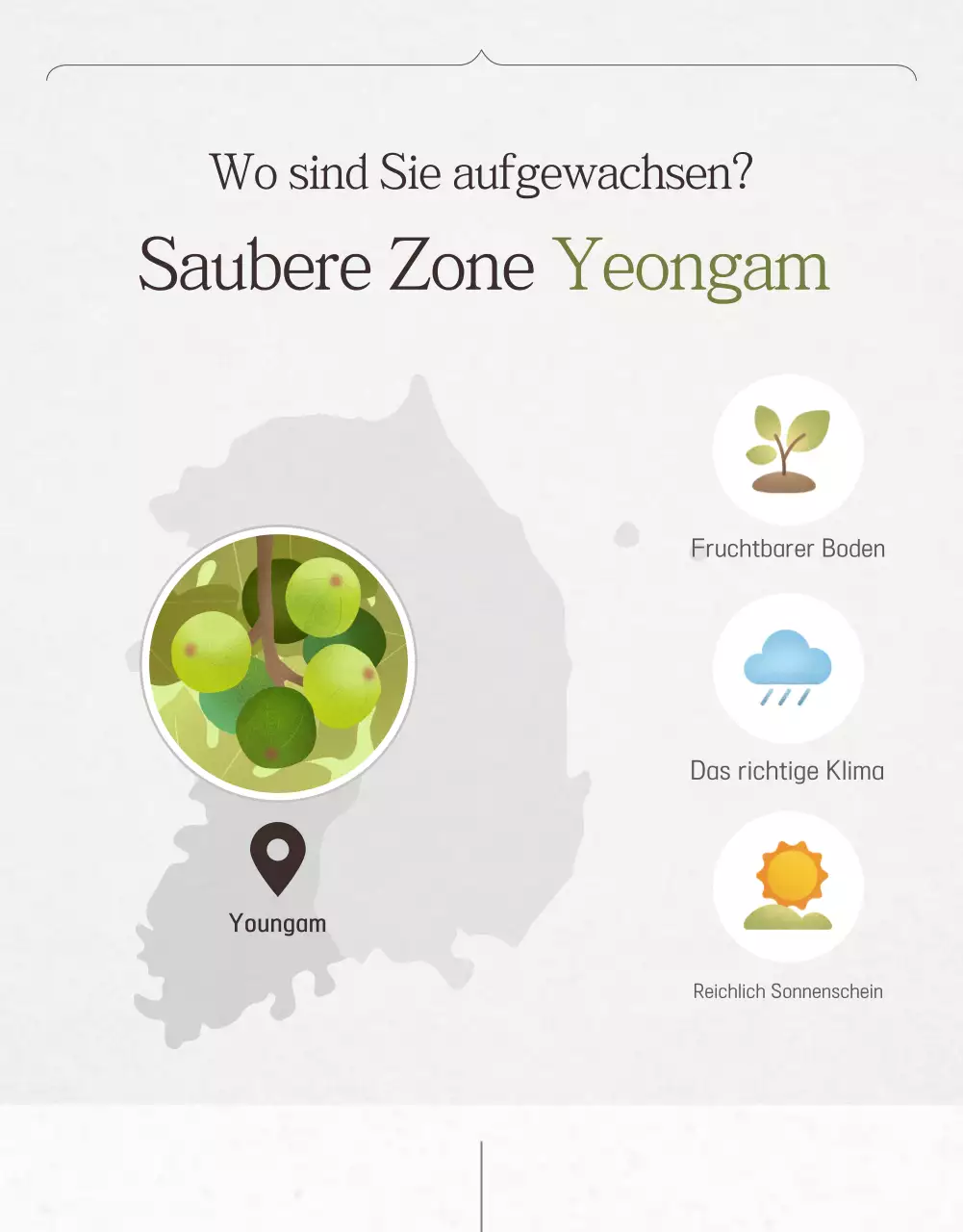 Verkaufsförderung von stilvollen Feigen in Weiß und Grau