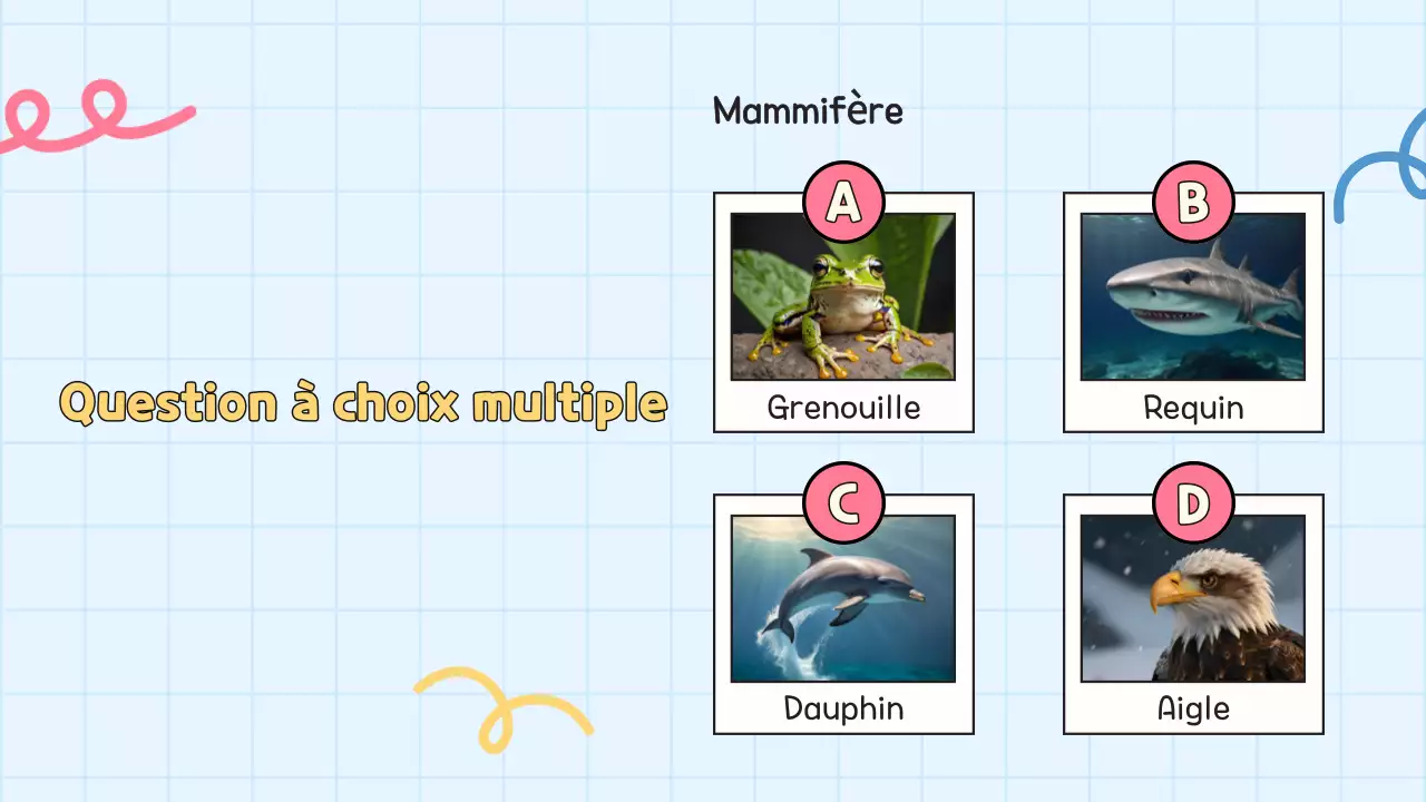 Quiz jaune pour l'école Présentation de l'élève