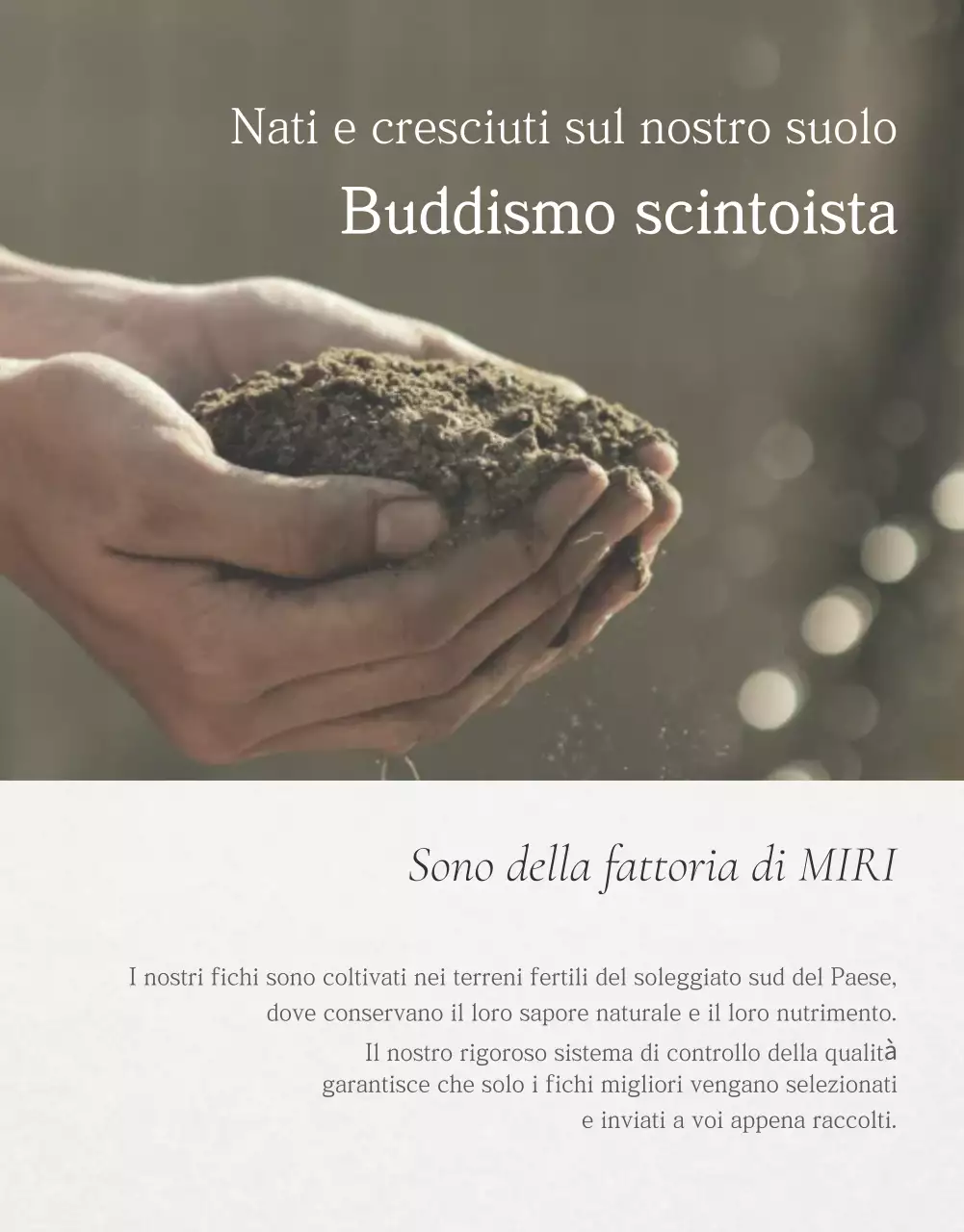 Fichi bianchi a frutto semplice