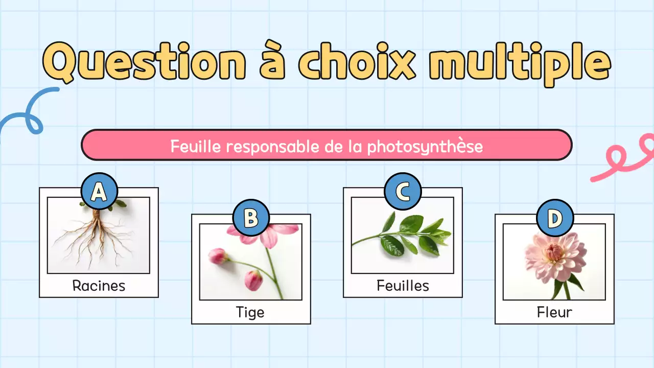 Quiz jaune pour l'école Présentation de l'élève