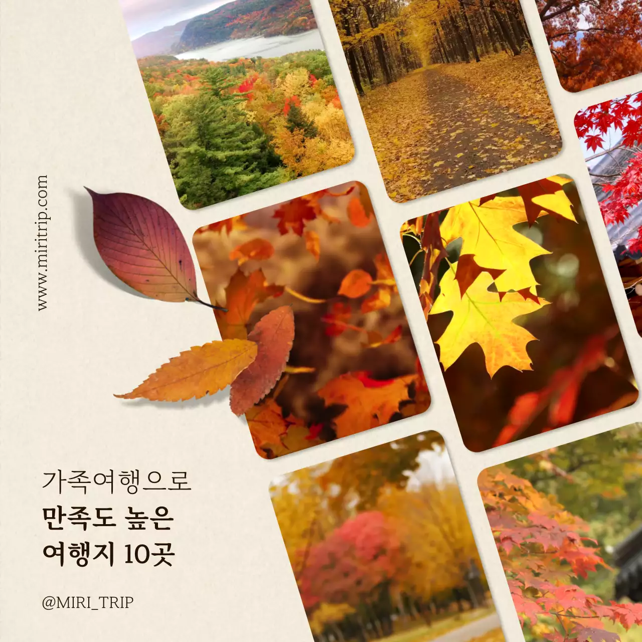 베이지색과 흰색의 모던한 가을 여행 홍보