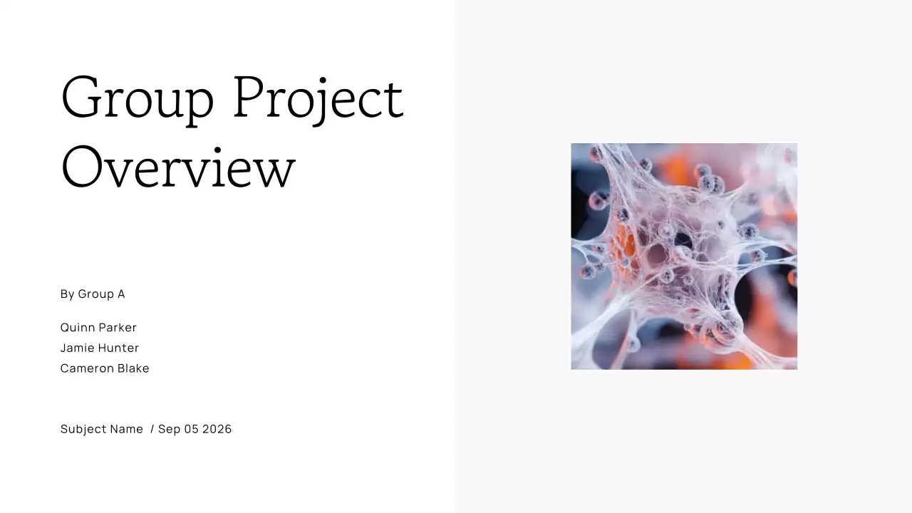 White Simple Project Presentation