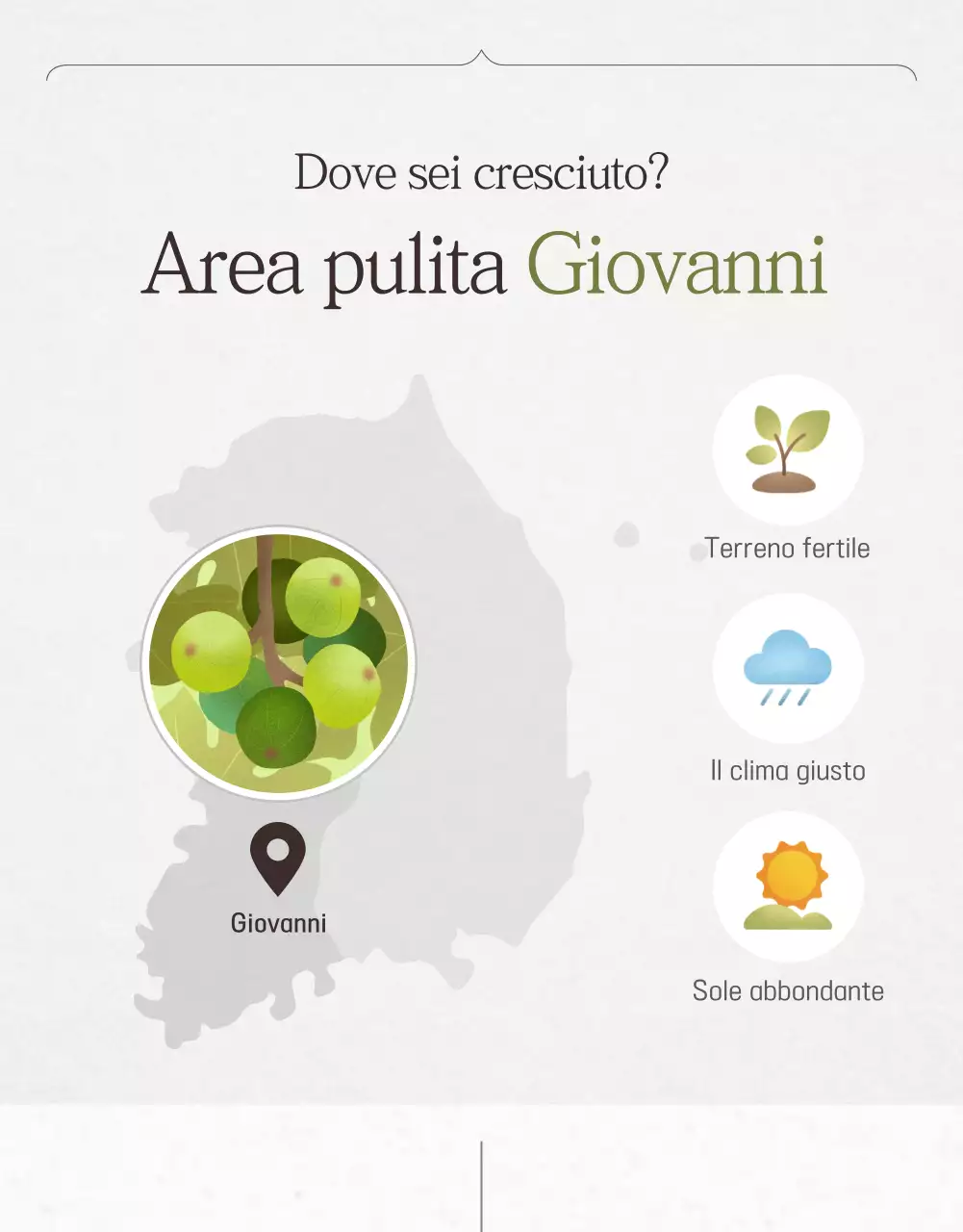 Promozione delle vendite di fichi eleganti in bianco e grigio