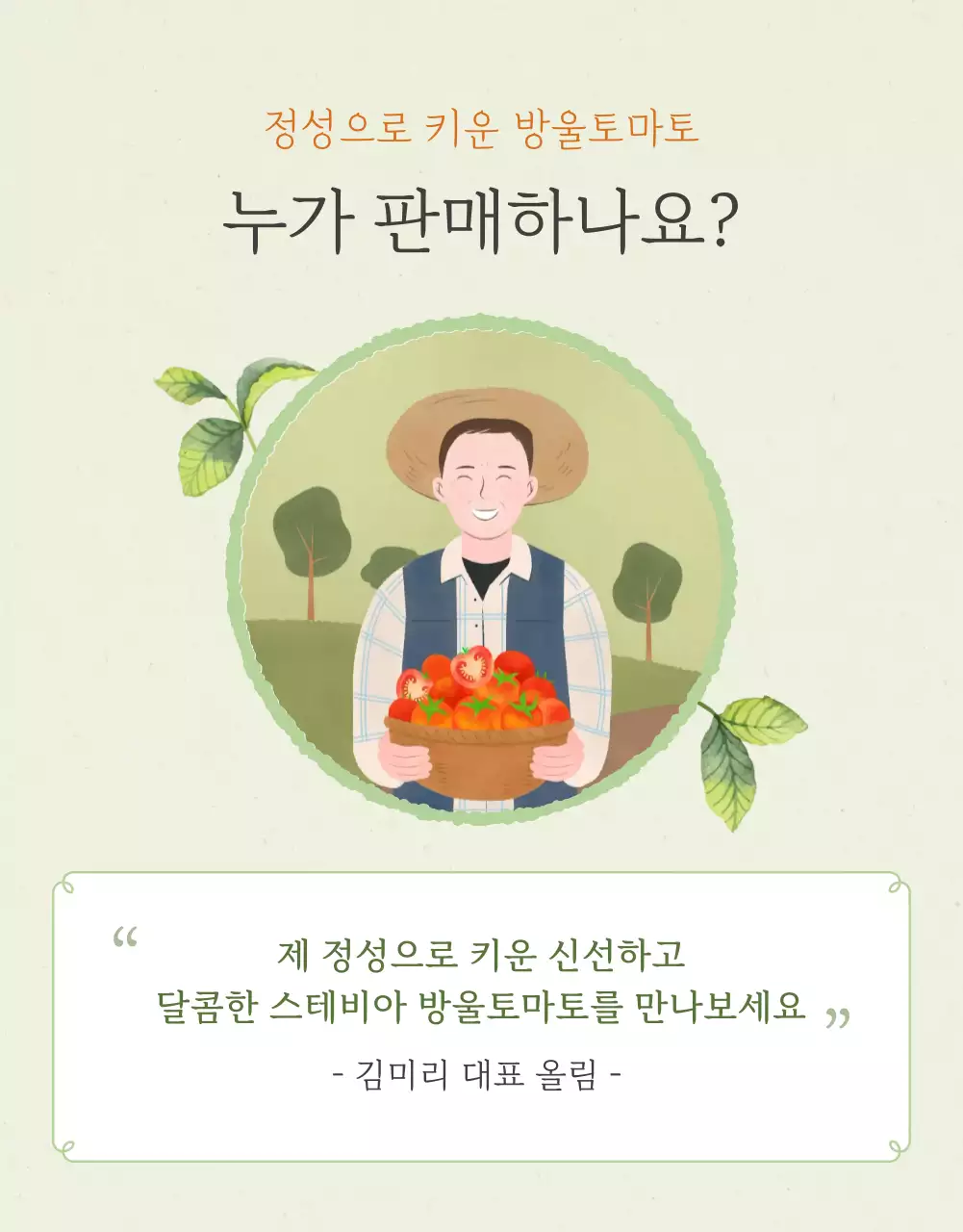아이보리와 연두의 심플한 방울토마토 판매 홍보