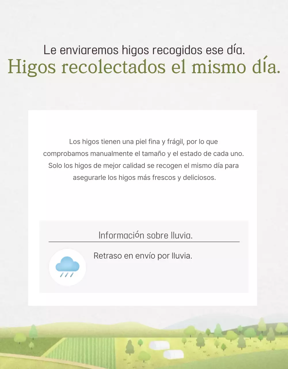 Promoción de ventas de higos con estilo en blanco y gris