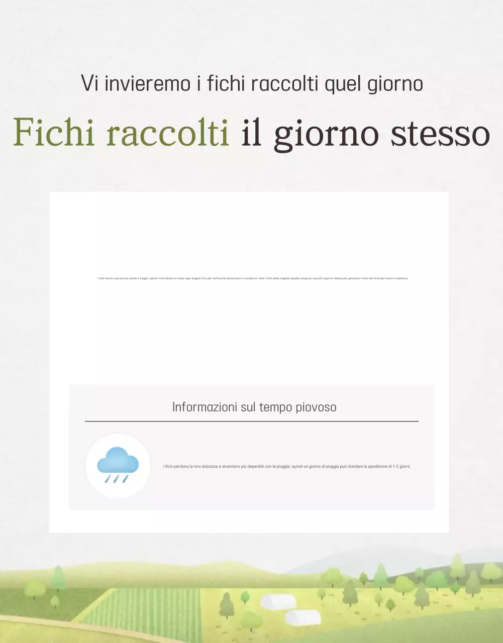 Promozione delle vendite di fichi eleganti in bianco e grigio