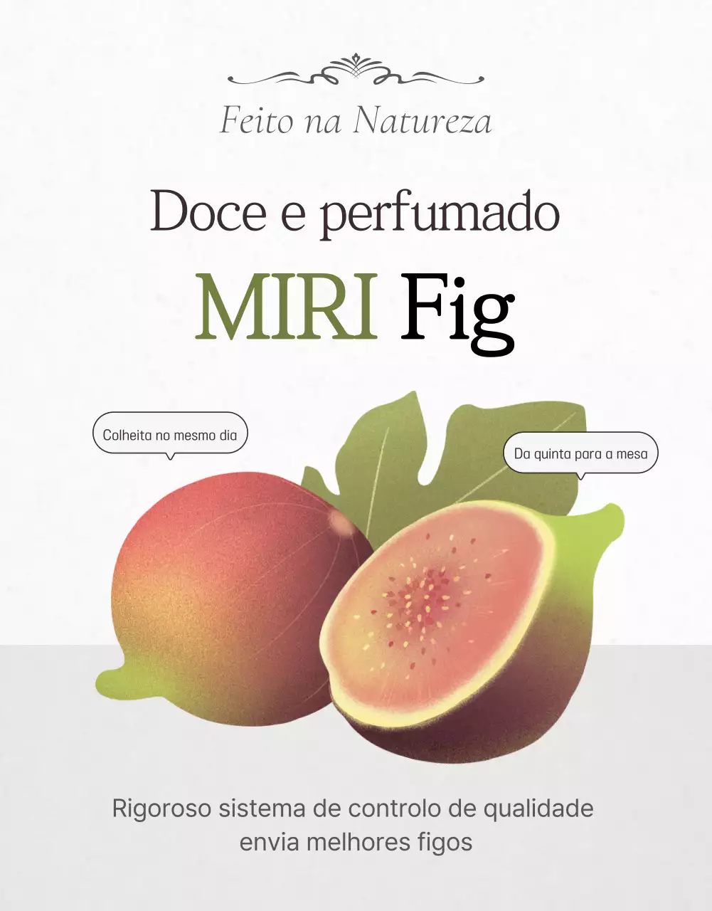 Promoção de vendas de figos elegantes em branco e cinzento