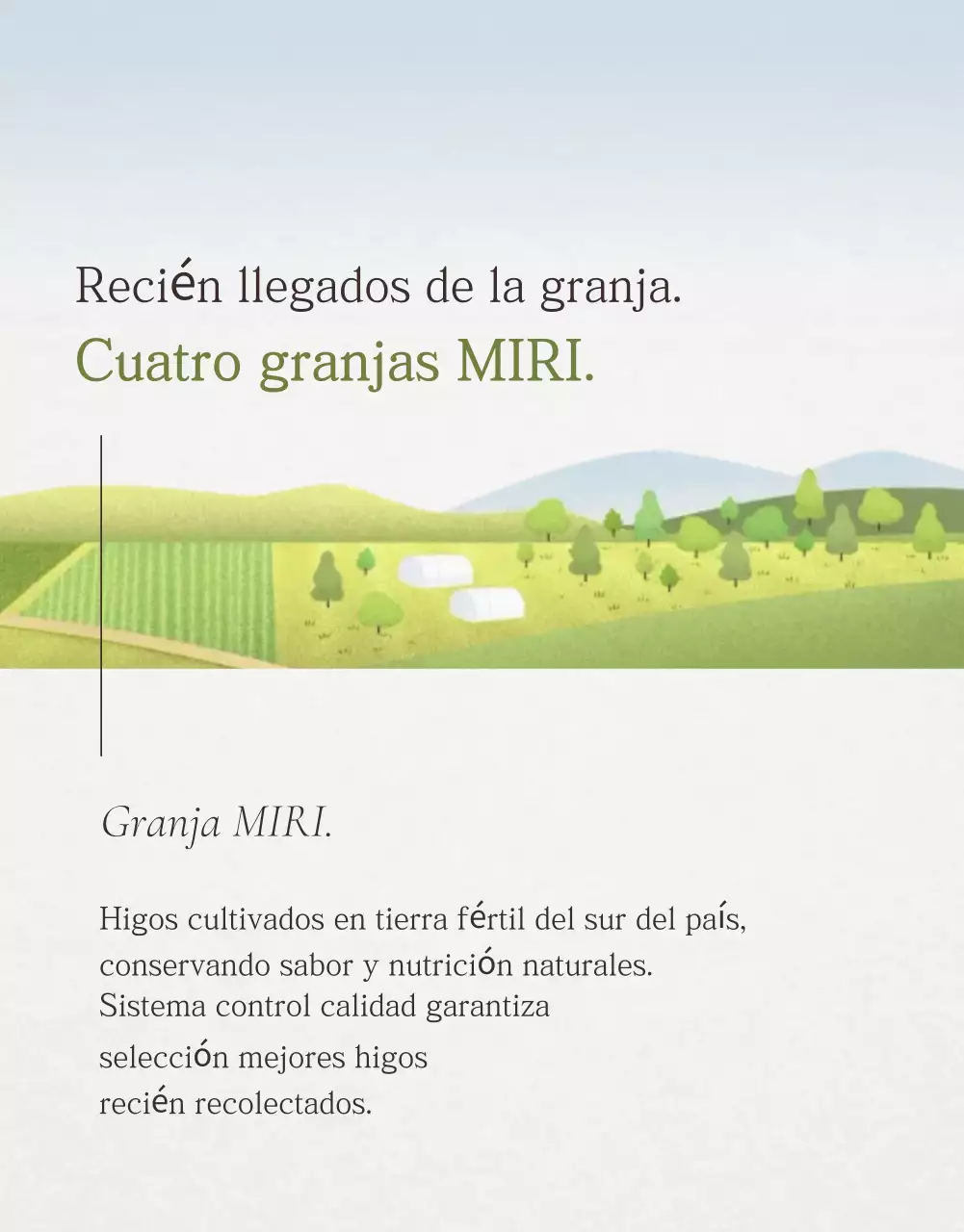 Promoción de ventas de higos con estilo en blanco y gris