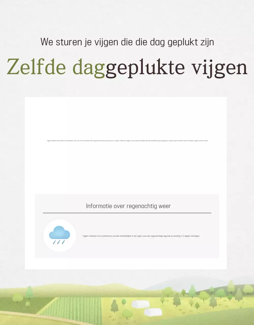 Verkoopbevordering van stijlvolle vijgen in wit en grijs