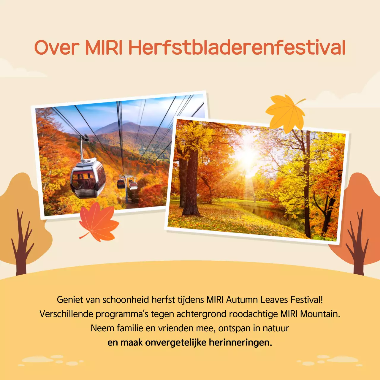 Gids voor het Beige Simple Festival