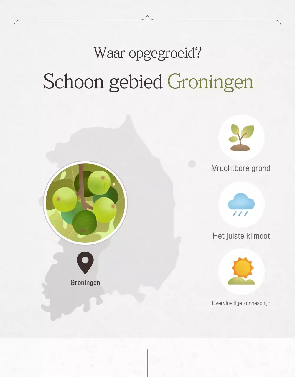 Verkoopbevordering van stijlvolle vijgen in wit en grijs