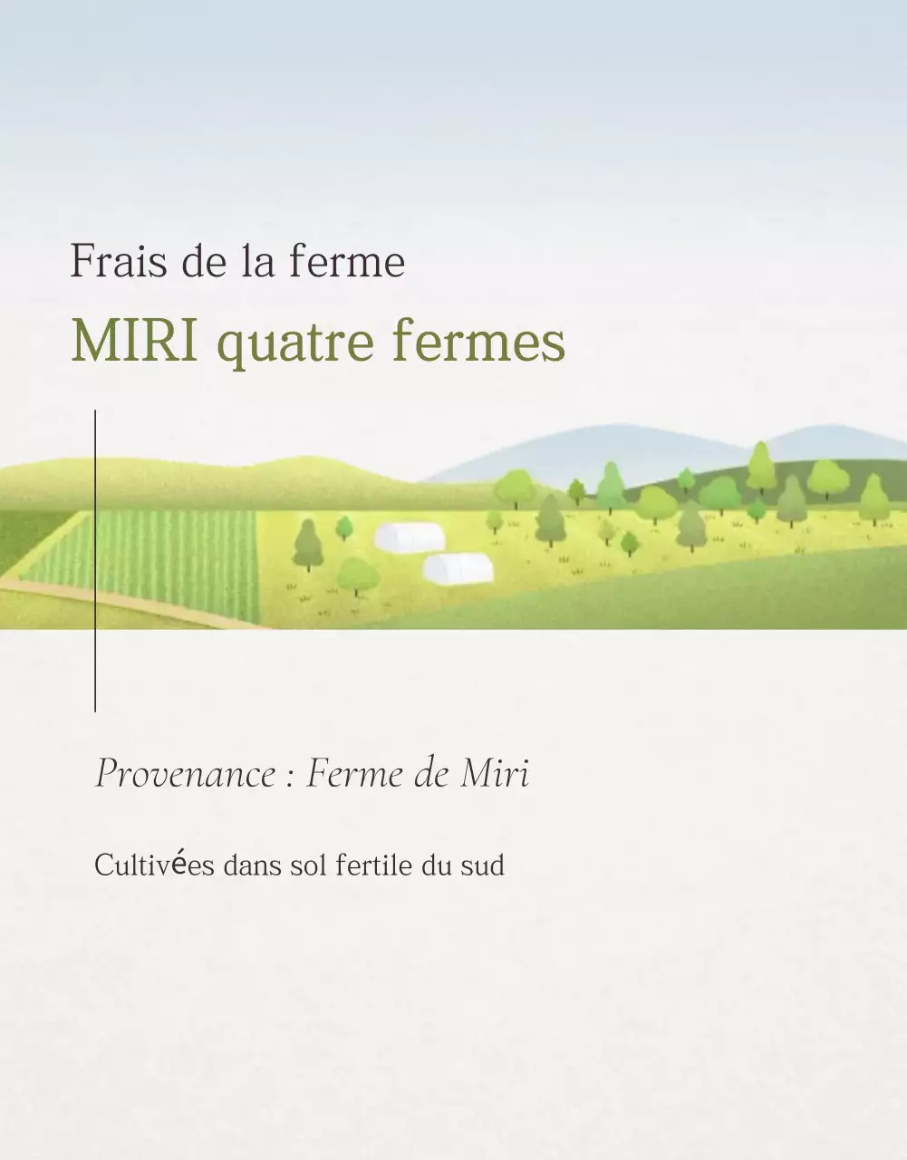 Promotion des ventes de figues de style en blanc et gris