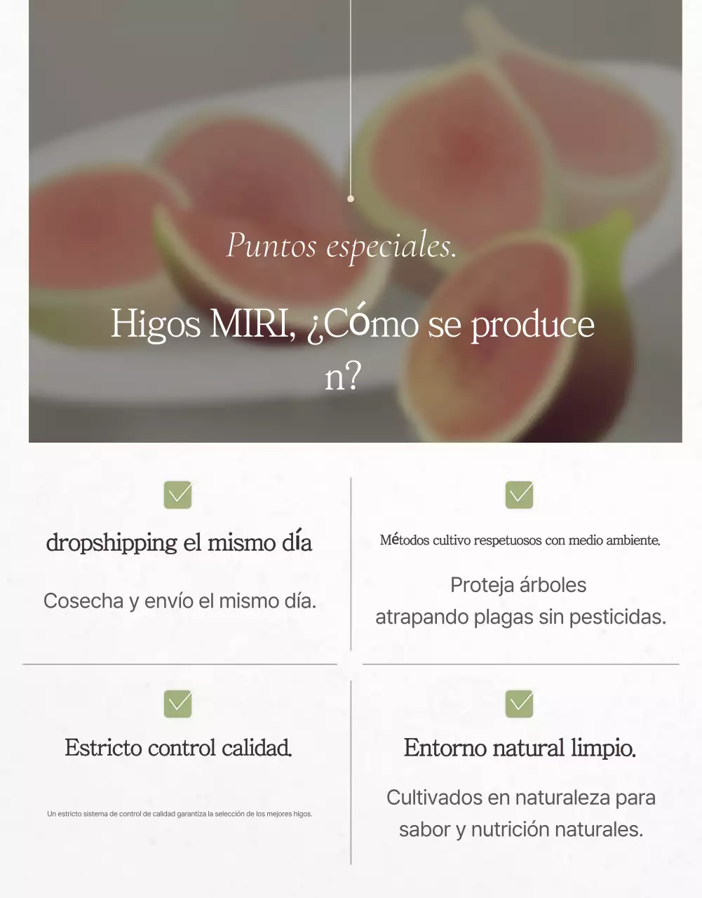 Promoción de ventas de higos con estilo en blanco y gris