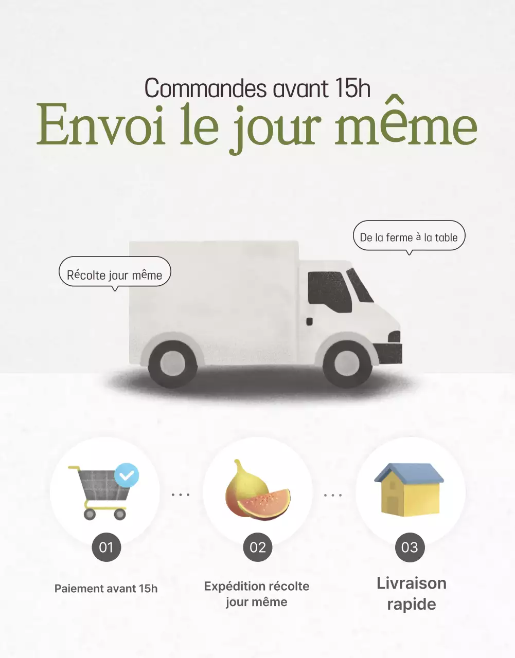 Promotion des ventes de figues de style en blanc et gris