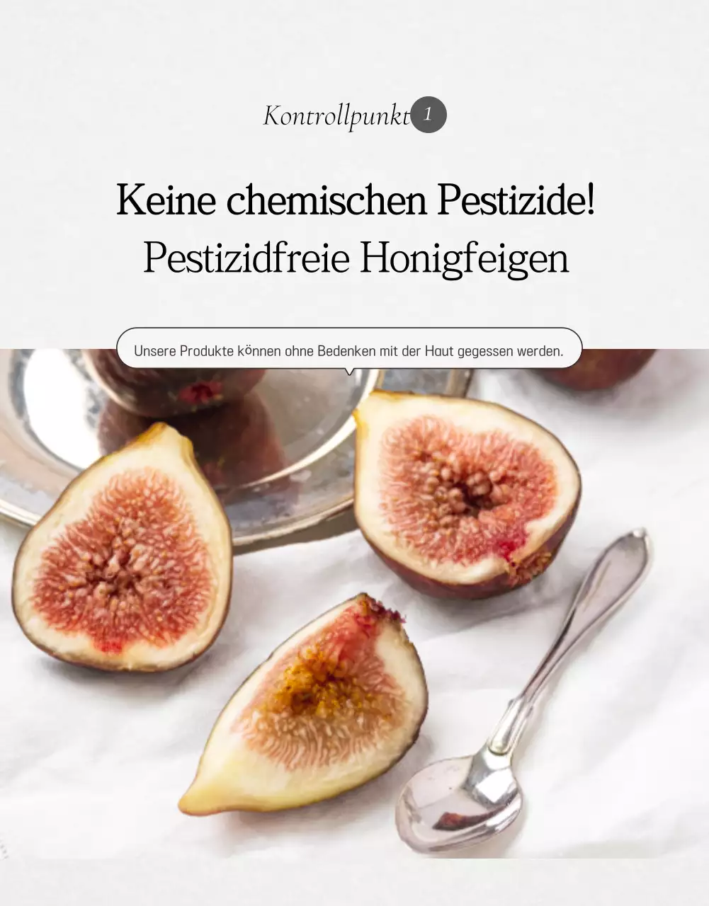 Weiße einfache Fruchtfeigen