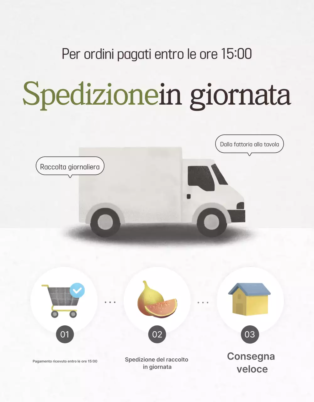 Promozione delle vendite di fichi eleganti in bianco e grigio