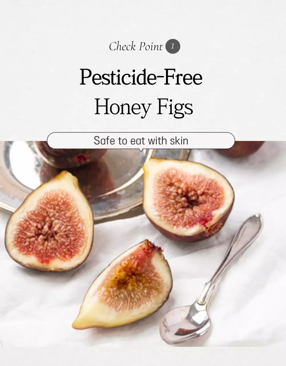 Green Rustic Figs Promotion Poster