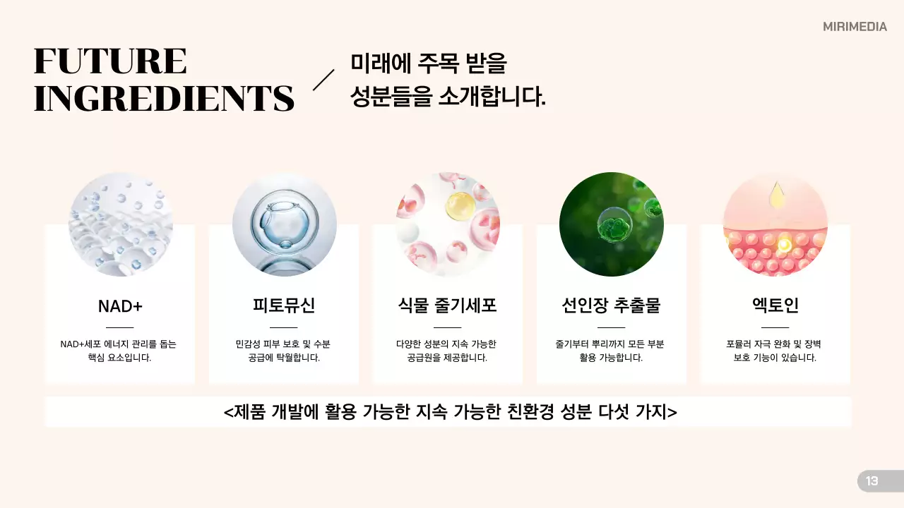 베이지 모던 뷰티 트렌드 분석